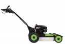 Etesia AD51