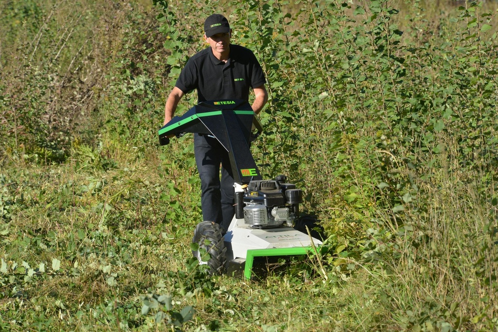 Etesia AK60