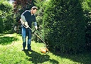 Stihl FSE81