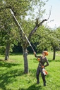 Stihl HTA135