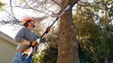 Stihl HTA50