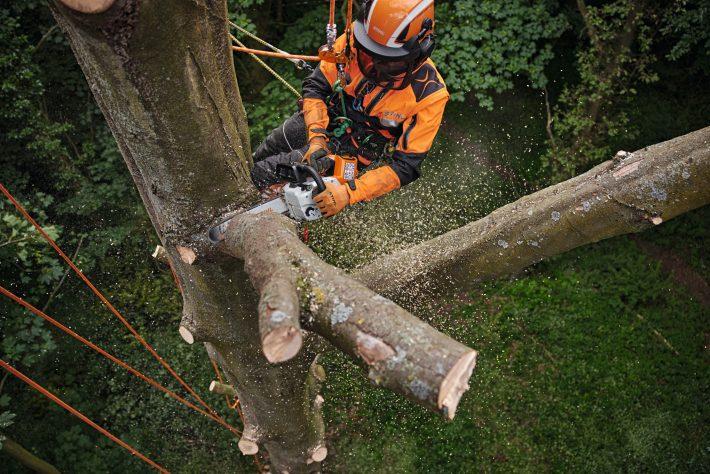 Stihl MSA220TC-30