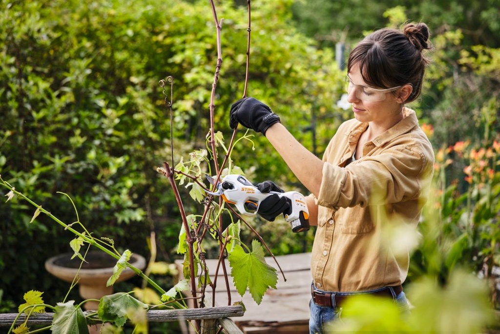 Stihl ASA20P1