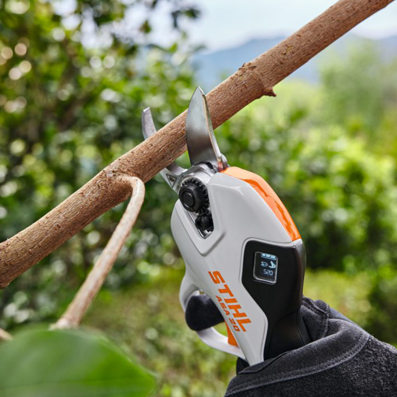 Stihl ASA20