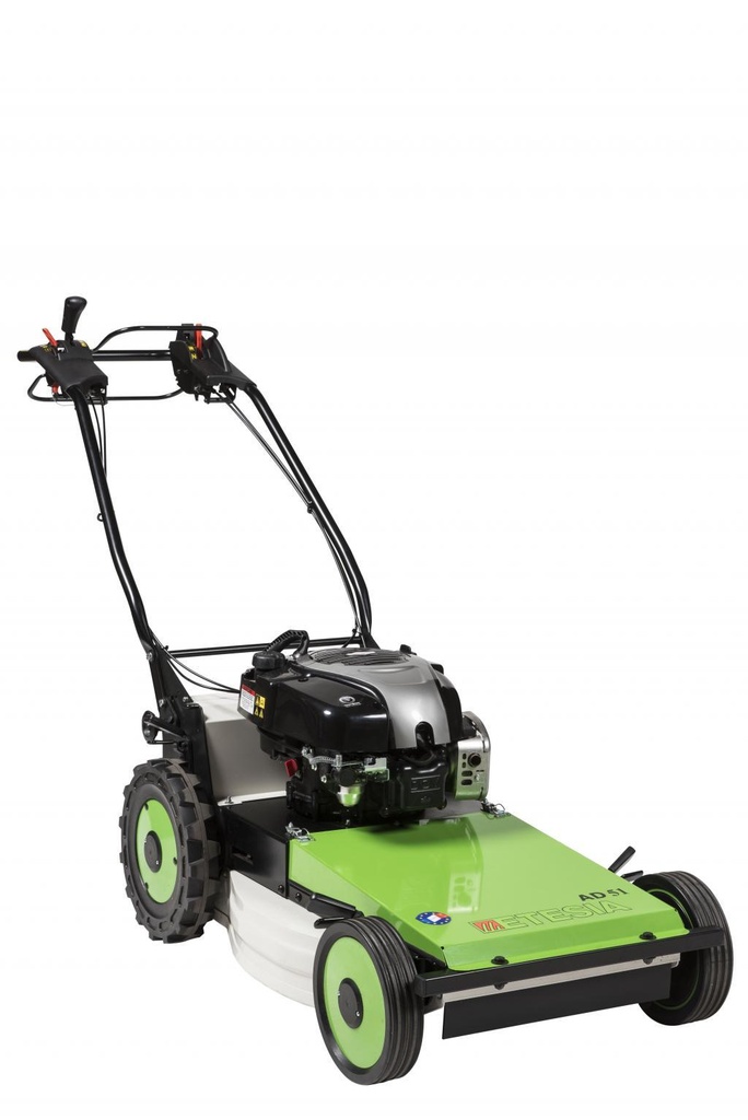 Etesia AD51