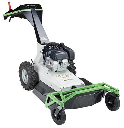 Etesia AH75